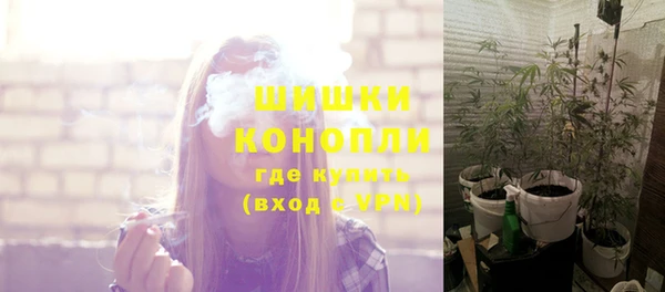 дмт Саяногорск