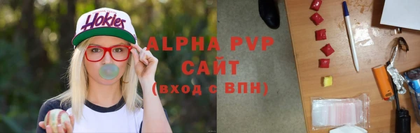 спиды Верея