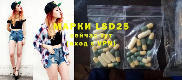 спиды Верея