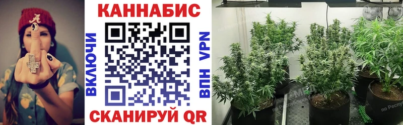 Шишки марихуана планчик наркота Ржев